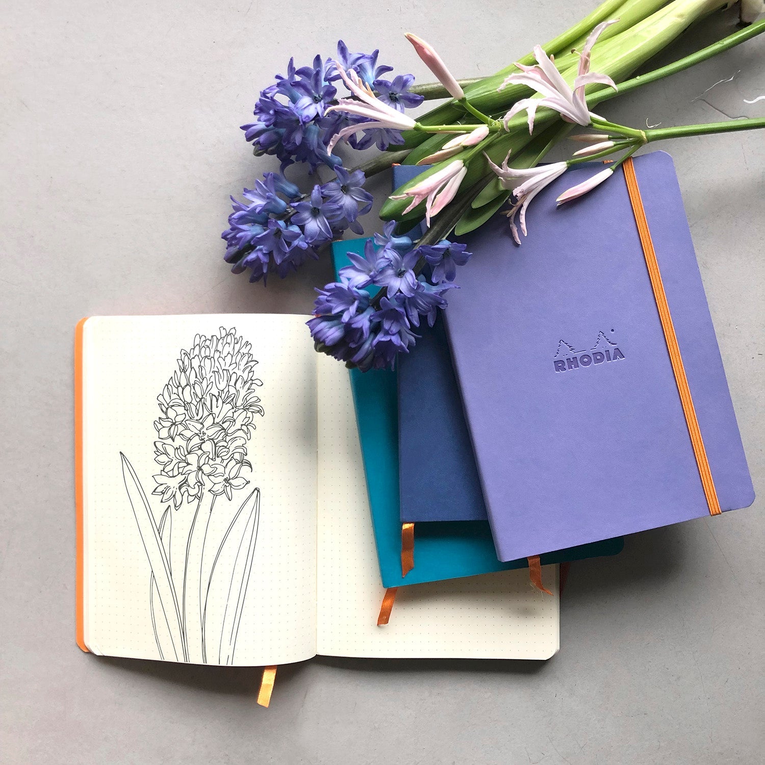 Rhodiarama Softcover Notebooks